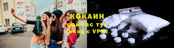 соль ск Алзамай