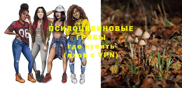 PSILOCYBIN Абдулино