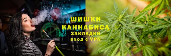 соль ск Алзамай
