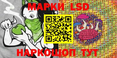 mdpv Донской